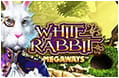 Der Slot White Rabbit.